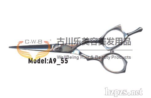 A955l(f)