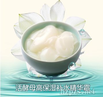 活酵母高保濕補水精華霜