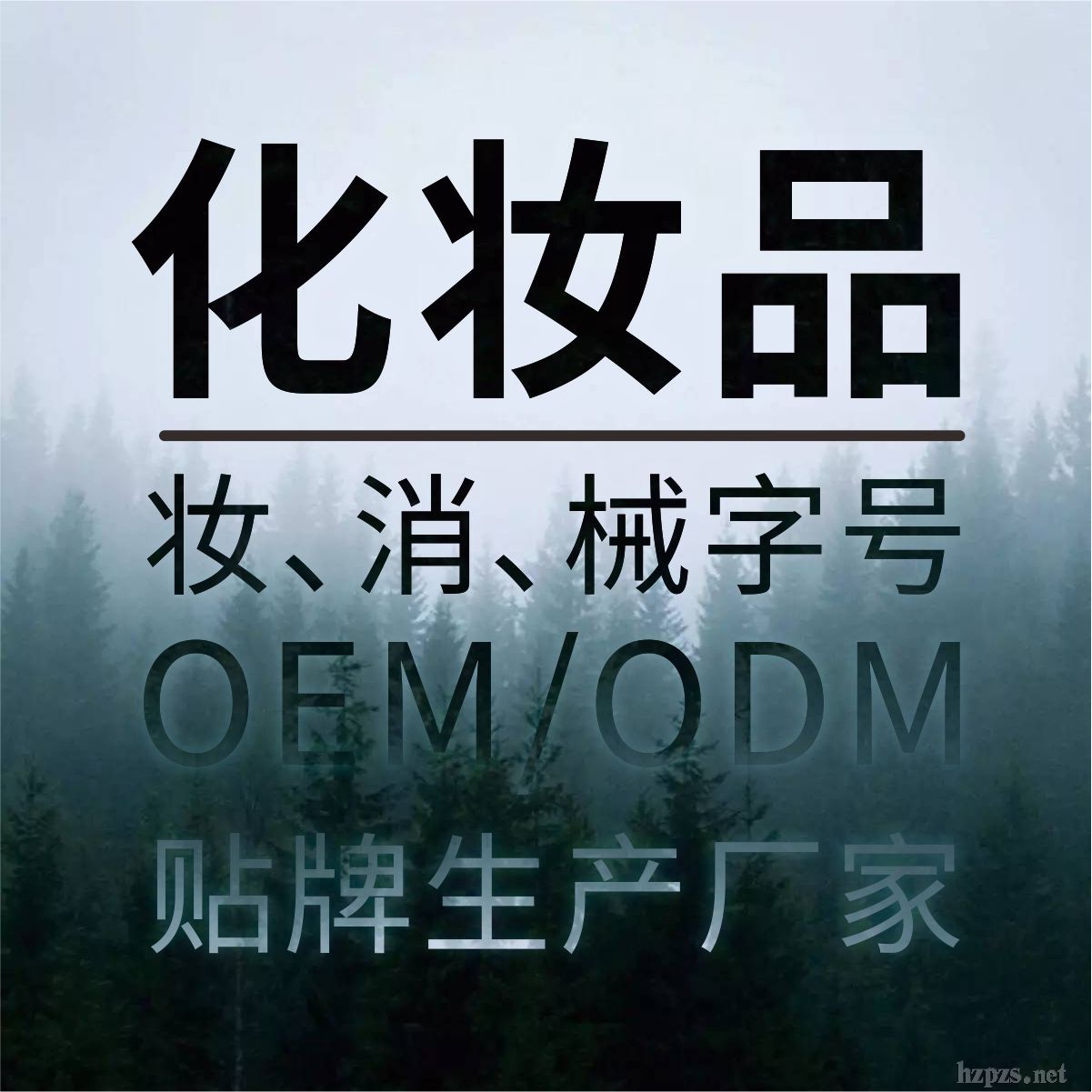 yƷOEMS